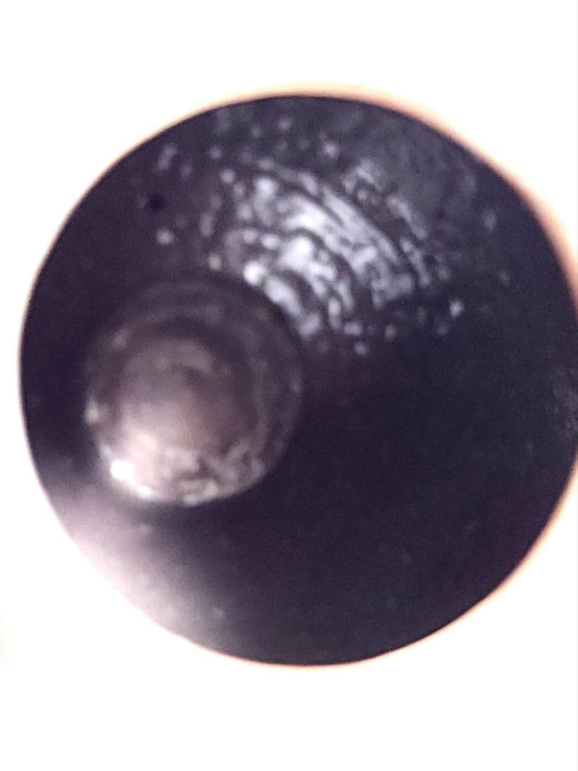 十三代 田原陶兵衛 萩焼 掛花入 共箱 共布 栞 茶道具