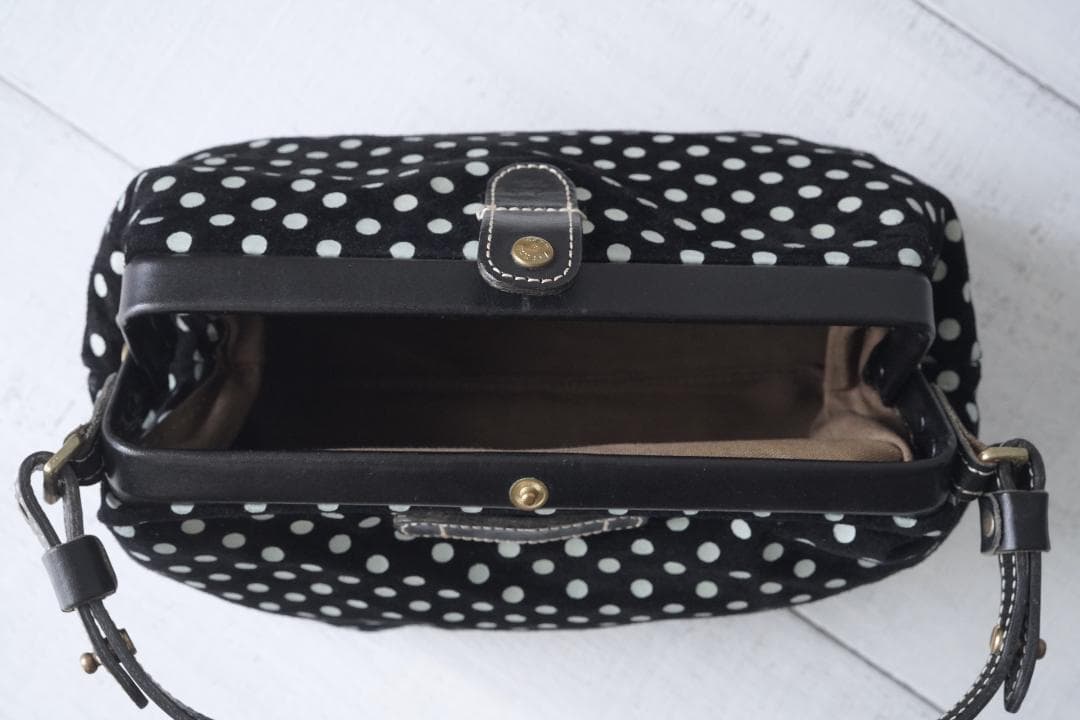 Acru レザーバッグ 本革 レザー カメラバッグ 美品 アクリュ ハンドバッグ