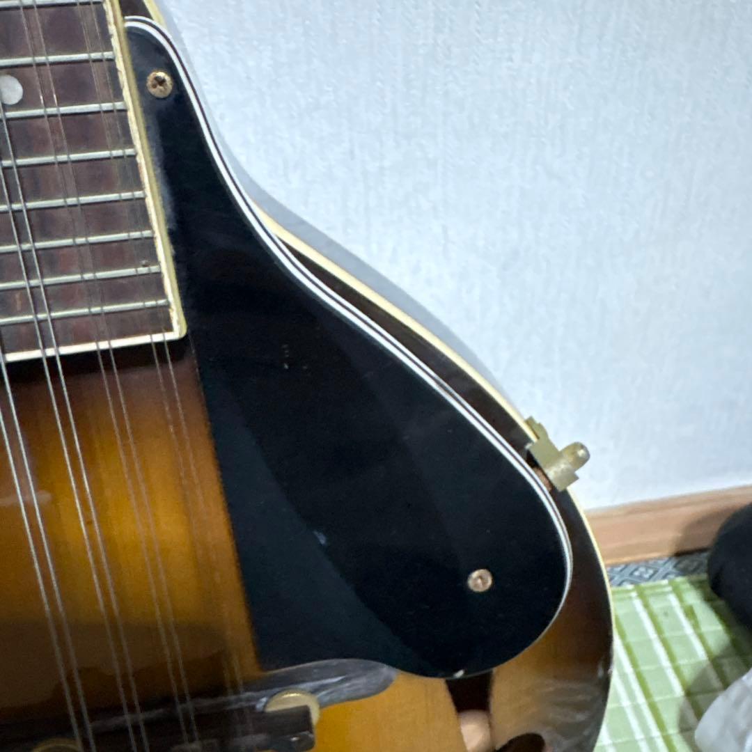 アウトレット セール 通販ホビー・楽器・アート - BlueBell ブルーベル