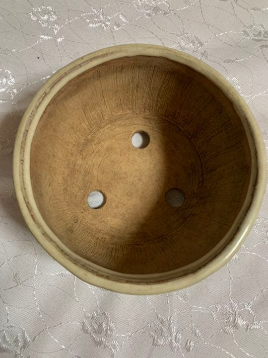 富舟 丸 盆栽鉢