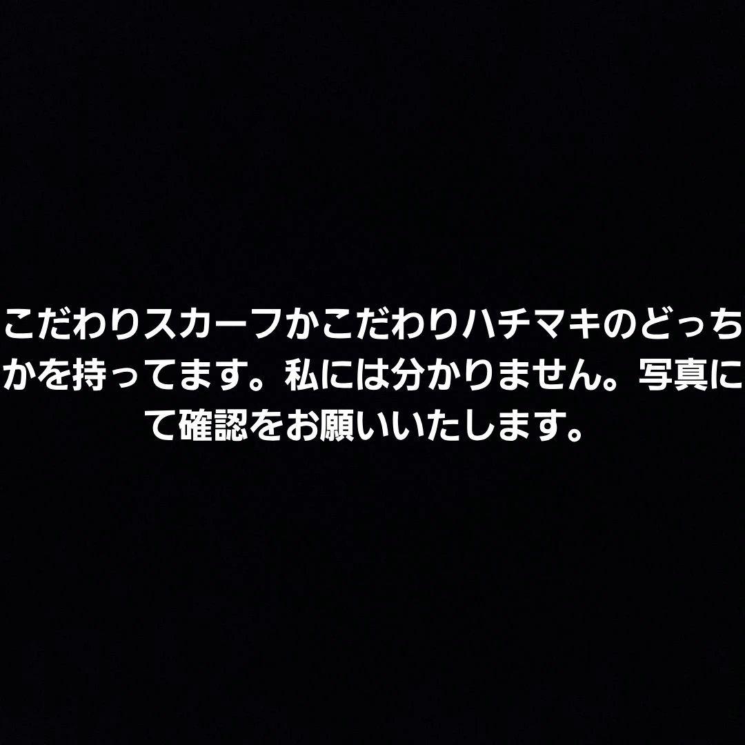 ポケモン　エラがみ！　ウオノラゴン　ぬいぐるみ