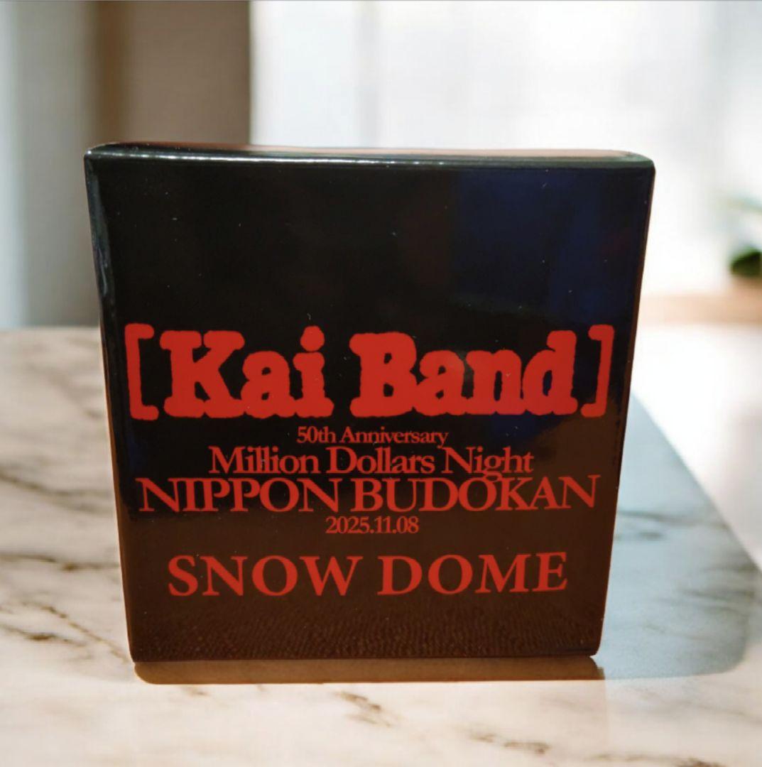 限定・非売品】甲斐バンド 武道館 VIP特典 スノードーム - メルカリ