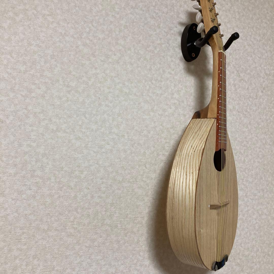 イケガクのフラットマンドリン