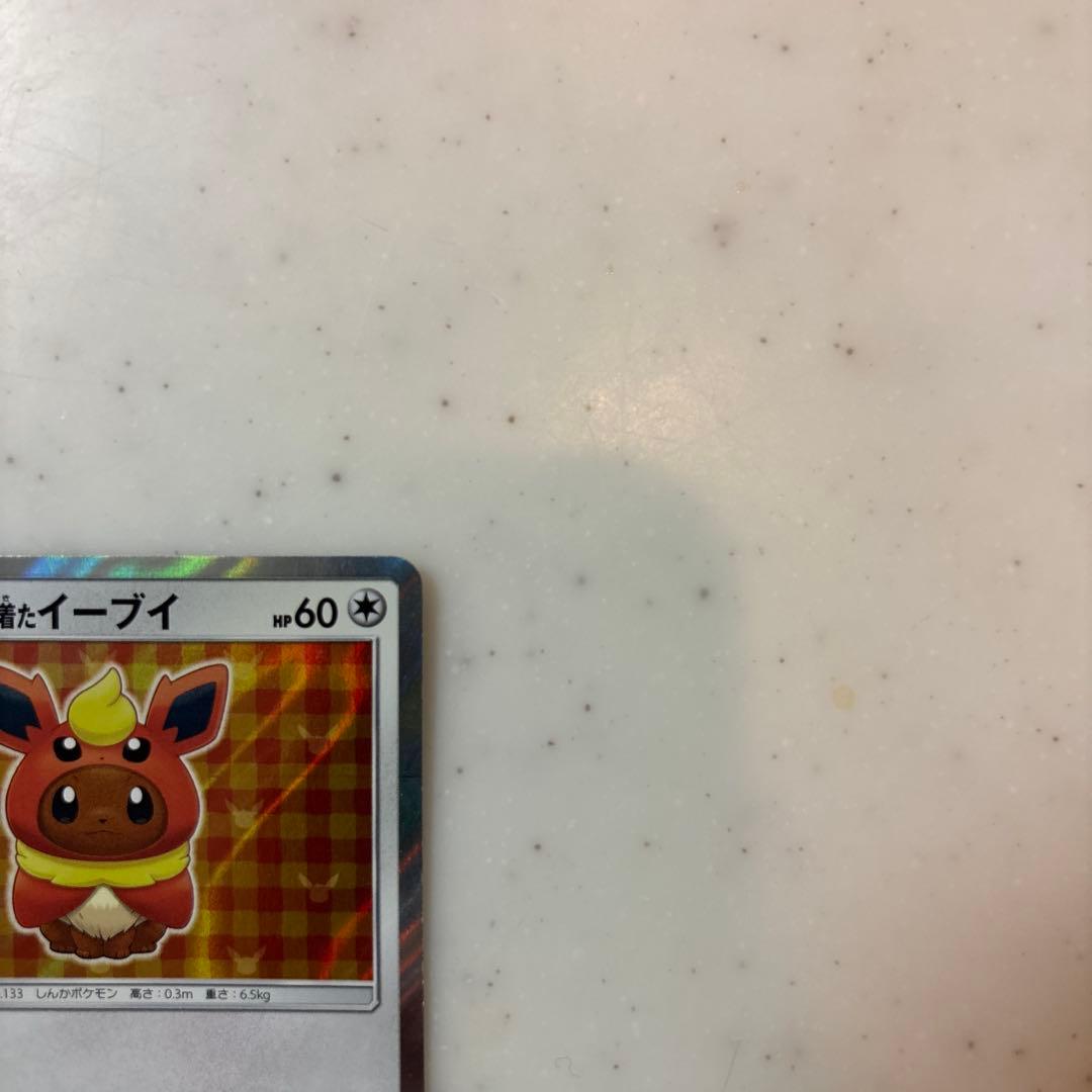 に*中様 N*様 ポンチョを着たイーブイ（ブースター） PROMO SM-Pプロ