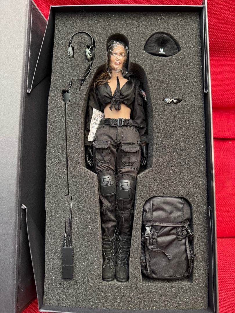 u*0様 verycool hottoys damtoys flagset 1/