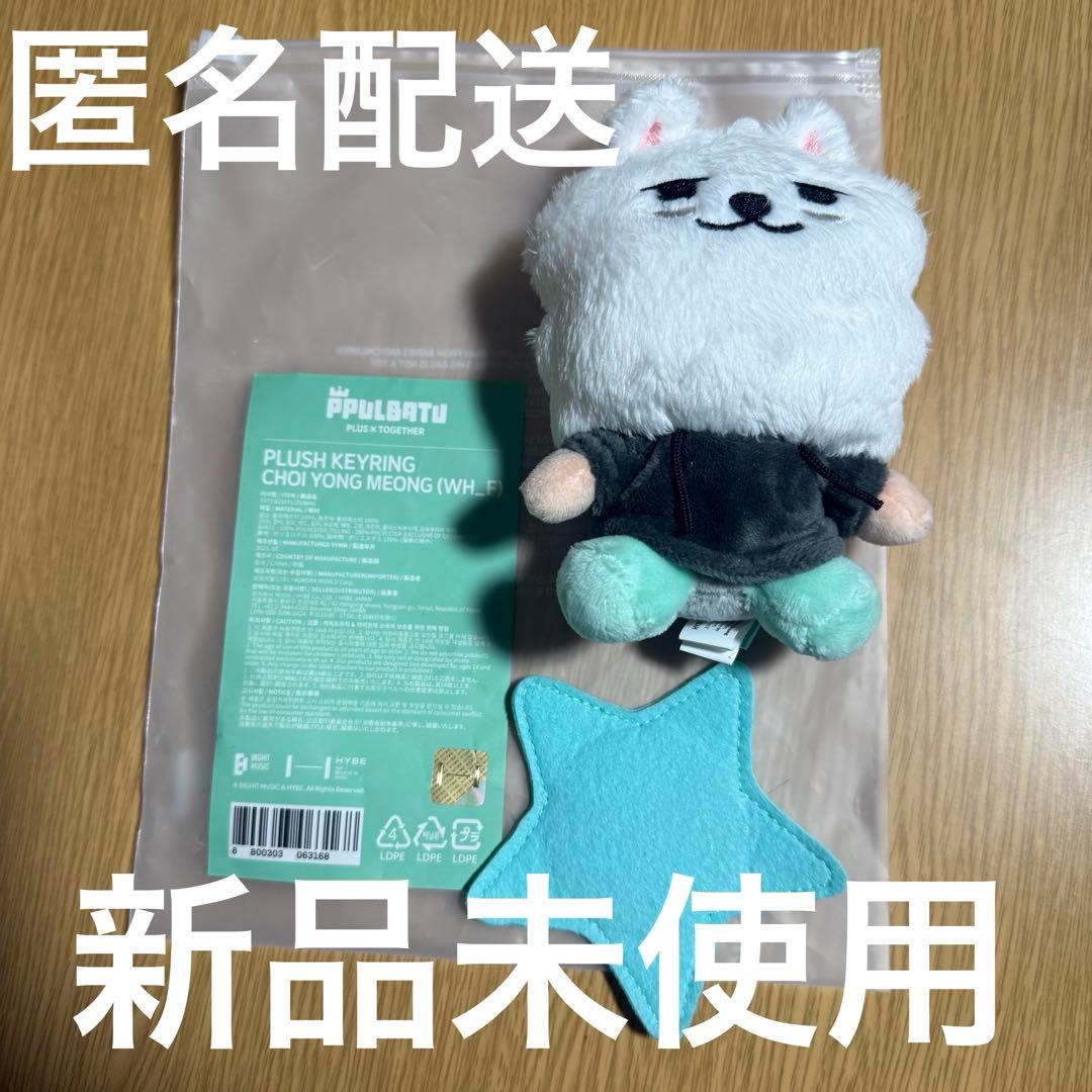 ヨンモン キーリング プラッシュキーリング txt スビン プルバトゥ