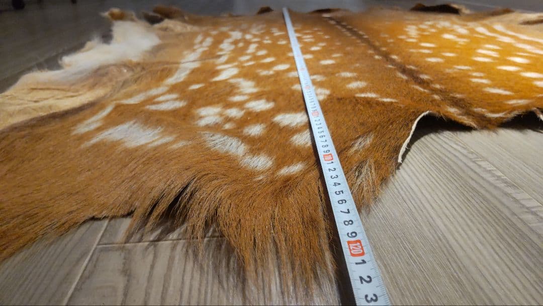 鹿の夏毛 2頭 Lサイズ 武具材料 行縢 尻鞘 直垂 狩衣 鞍鐙 流鏑馬 笠掛