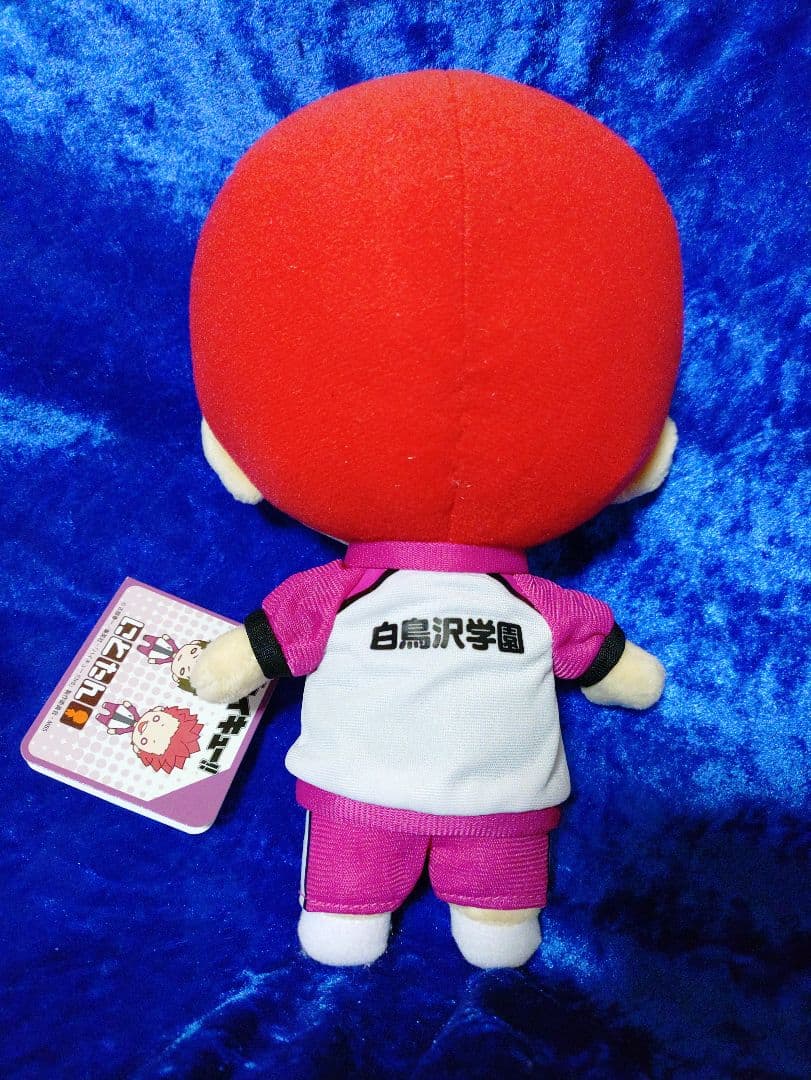 ハイキュー！！ にとたん おおきいぬいぐるみ 天童覚