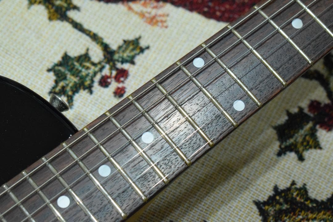Burny Fernandes LG-480 SLG-50 ソフトケース付
