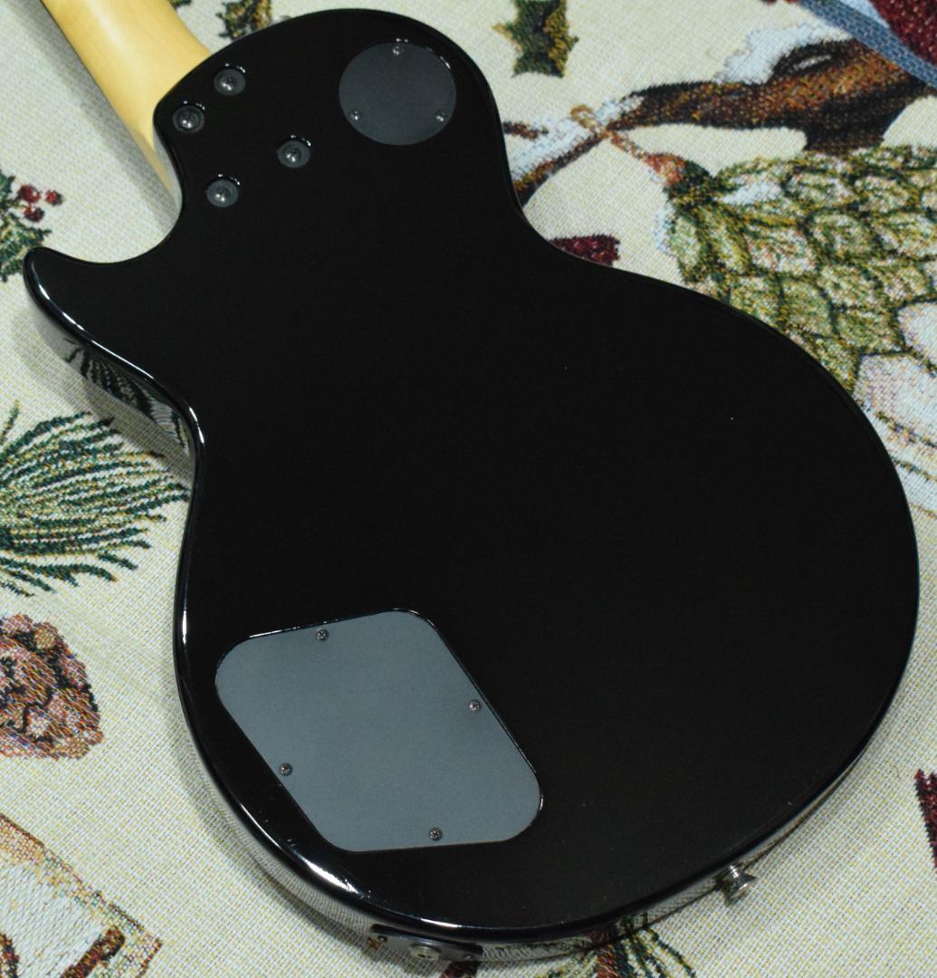 Burny Fernandes LG-480 SLG-50 ソフトケース付