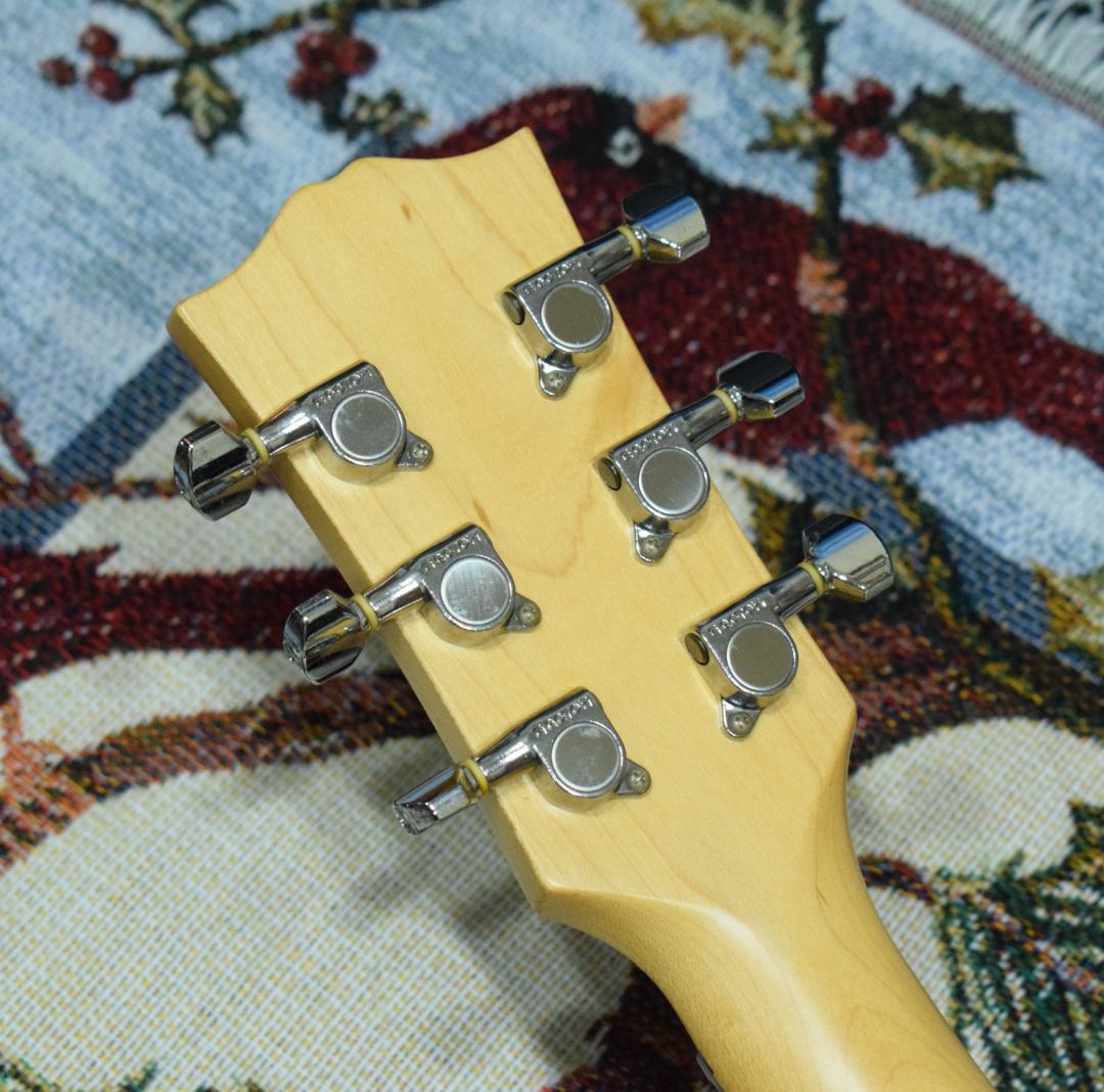 Burny Fernandes LG-480 SLG-50 ソフトケース付