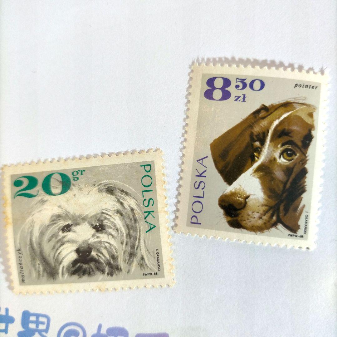 2467 外国切手 ポーランド 1969年 犬々 シーズ 8種 未使用