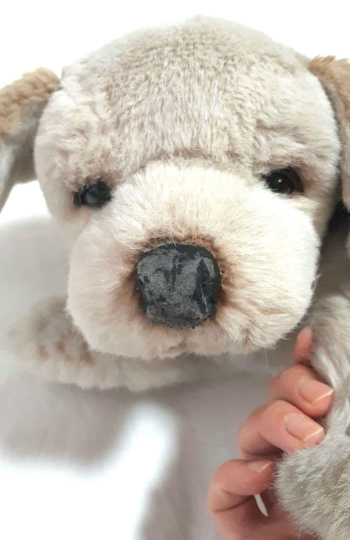 【美品】ジョックライン　JOCKLINE社　当時物　イタリア製　犬　ゴールデン