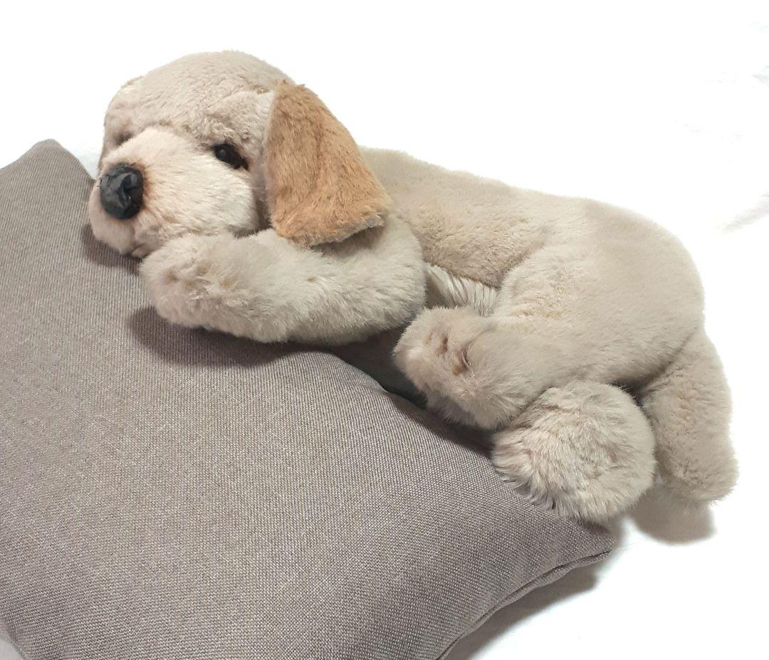 【美品】ジョックライン　JOCKLINE社　当時物　イタリア製　犬　ゴールデン