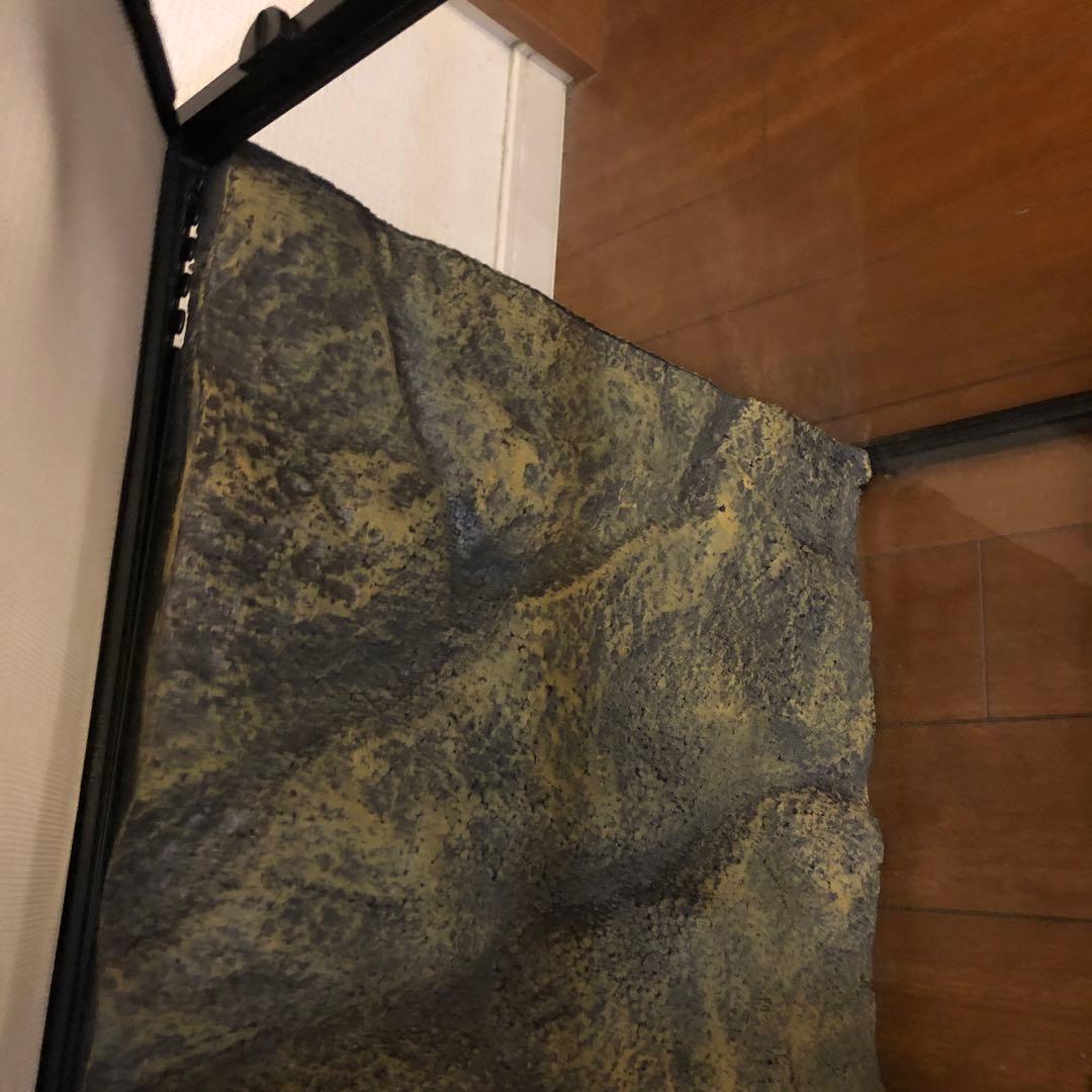 niko0917様専用 Exo Terra 大型温室・ショーケース