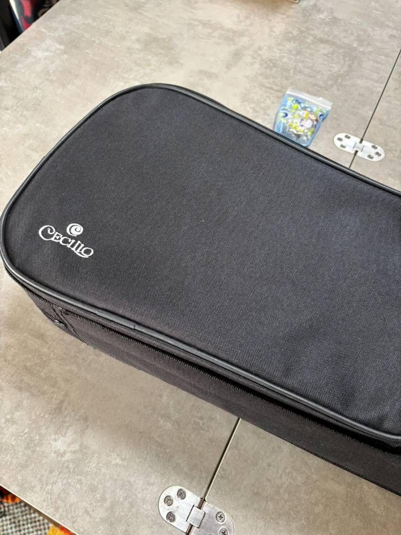 4/4CEVN エレクトリックバイオリンスタイル1　Cecilio セシリオ