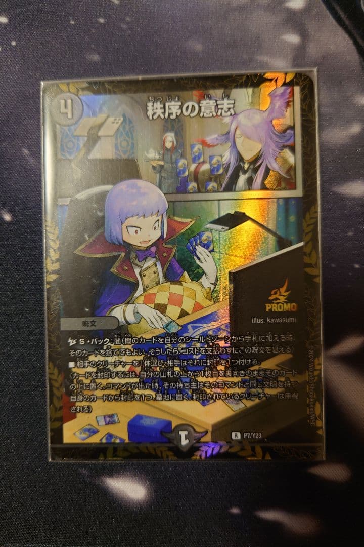 秩序の意志プロモ