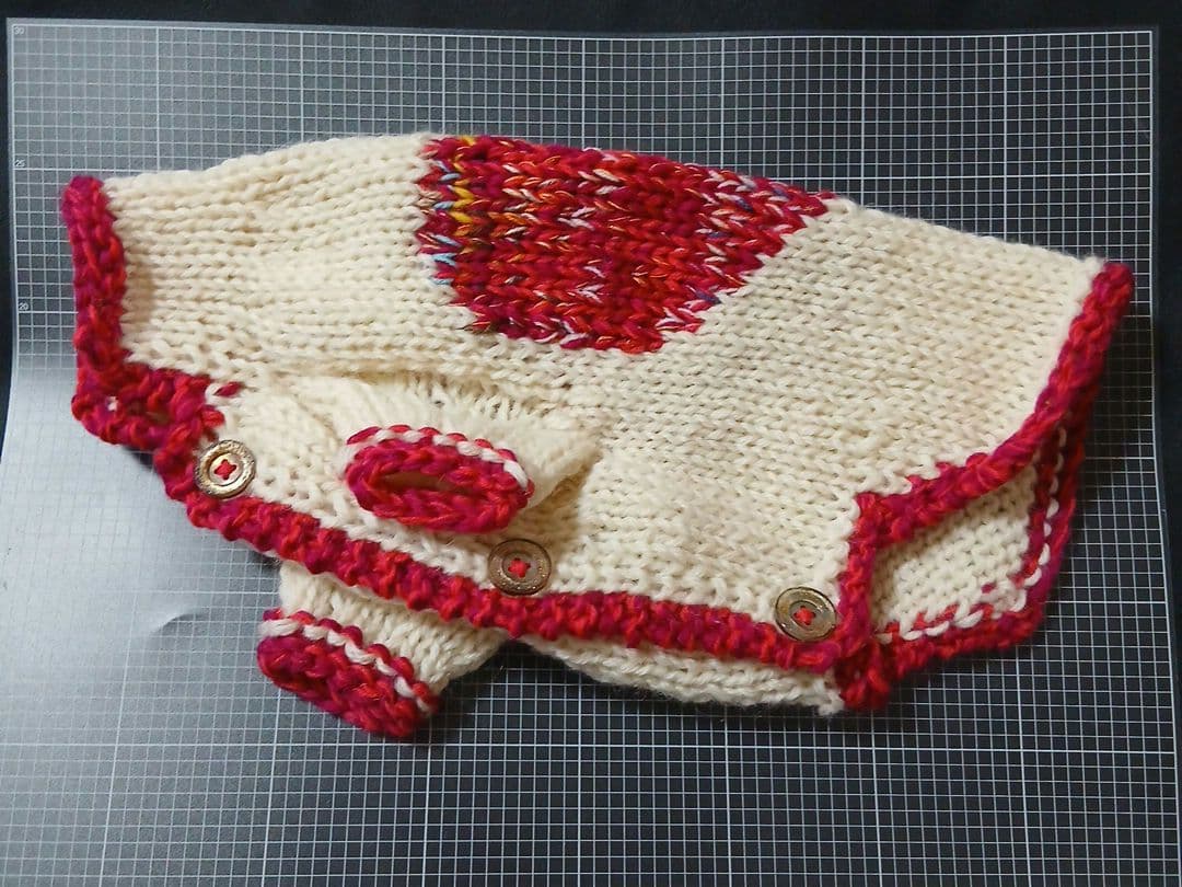 よっちんさん専用】犬服 犬用 手編み 「ビック❤カウチン」