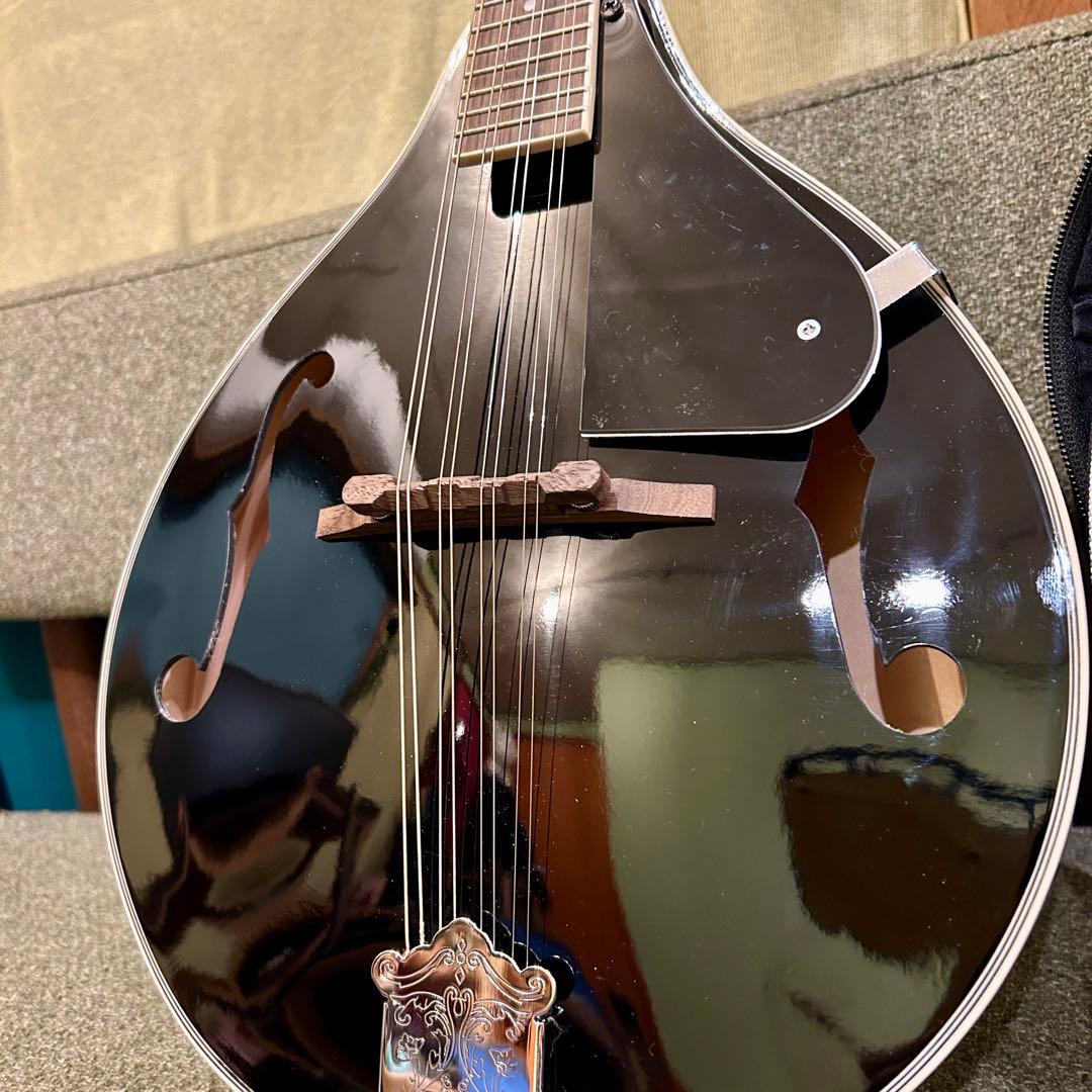 美品　フラットマンドリン　IRIN セット