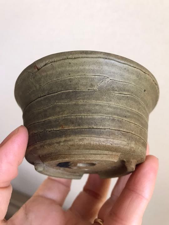 盆栽鉢　時代ミニ盆栽鉢小品常滑名工盆栽鉢服部3点山野草サボテン多肉植物