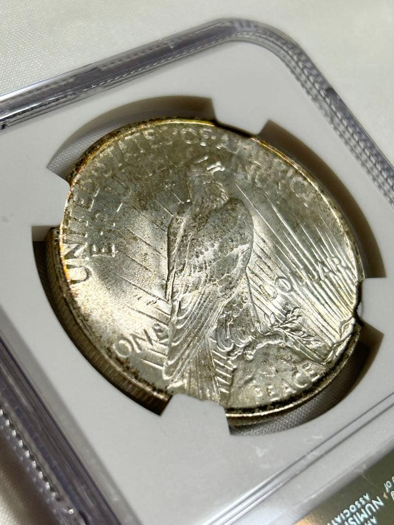 1923年 アメリカ ピースダラー 銀貨 NGC MS64 アンティークコイン