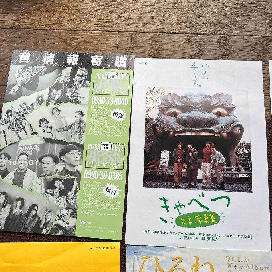 たま チラシ切り抜き イカ天 知久寿焼 石川浩司 滝本晃司 柳原幼一郎