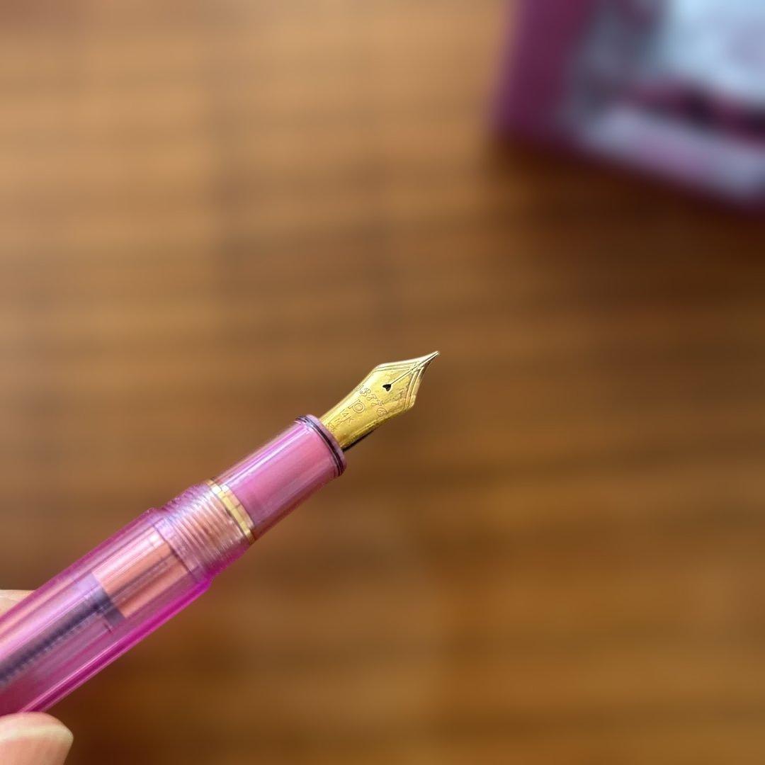 プラチナ万年筆 #3776 センチュリー ニース リラ M クラッシックインク