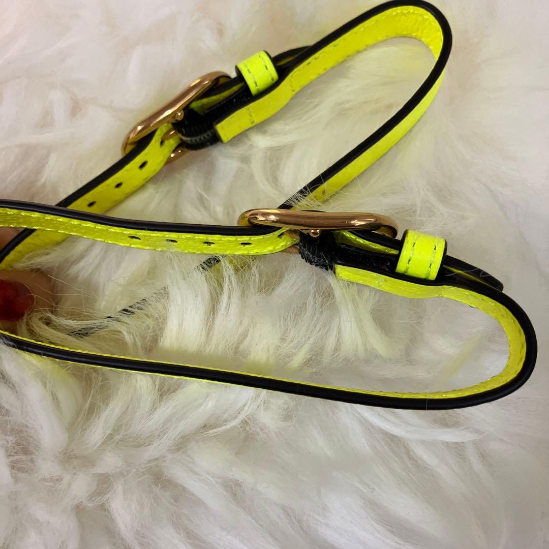 美品 GUCCI ネオンイエロー レザー 首輪 ダイアナ 2本 - メルカリ