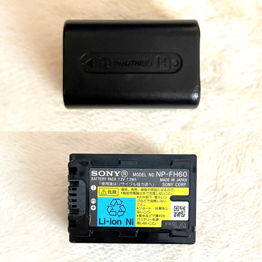 【動作◎】SONY Handycam HDR-CX500V 本体 ビデオカメラ