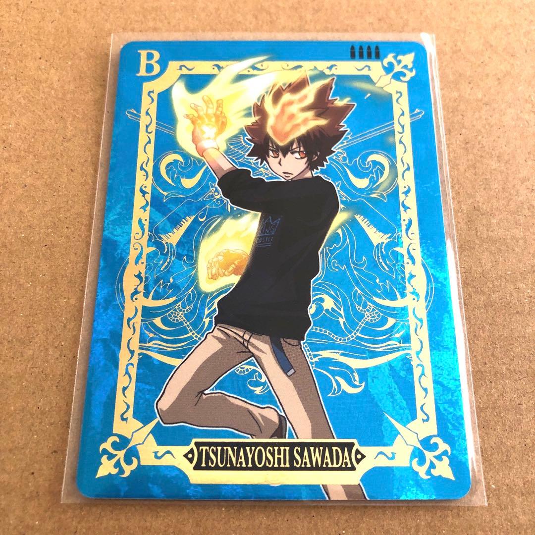 家庭教師ヒットマンREBORN！ サザンクロスバトル 沢田綱吉 MVR(1弾