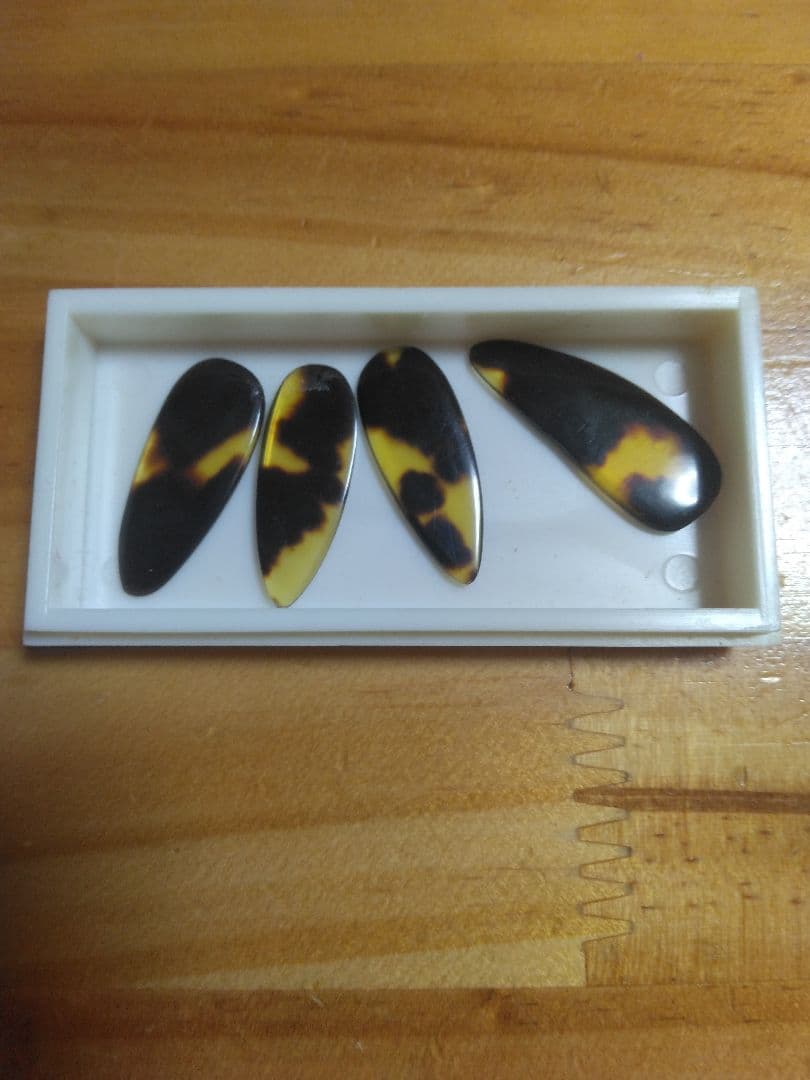 中国21弦古筝 王天一(国家一級作曲家)名入り