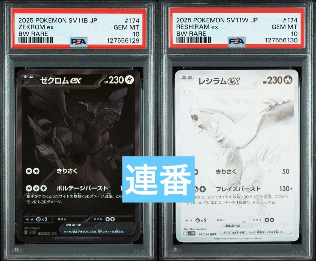 ゼクロム ex BWRレシラム ex BWR PSA10 連番