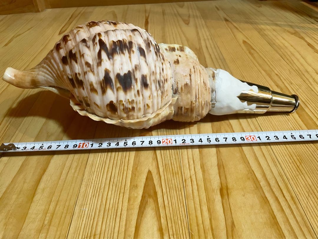 修験道法螺貝山伏密教魔除け熊よけ❣️ホラガイほら貝