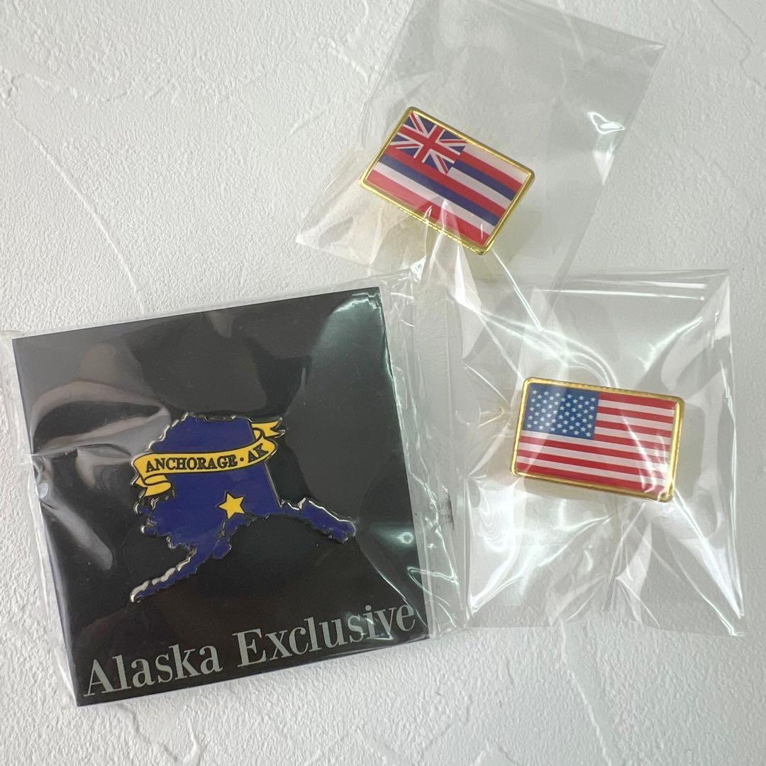 非売品】大阪・関西 万博 2025 アメリカ館 アラスカ 限定 ピンズ