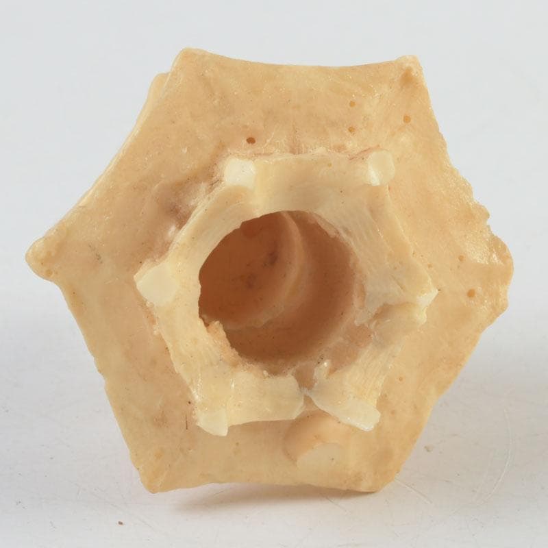 中国 河馬牙製 楼閣山水透かし雕 床飾 置物 唐木台付 V 9341