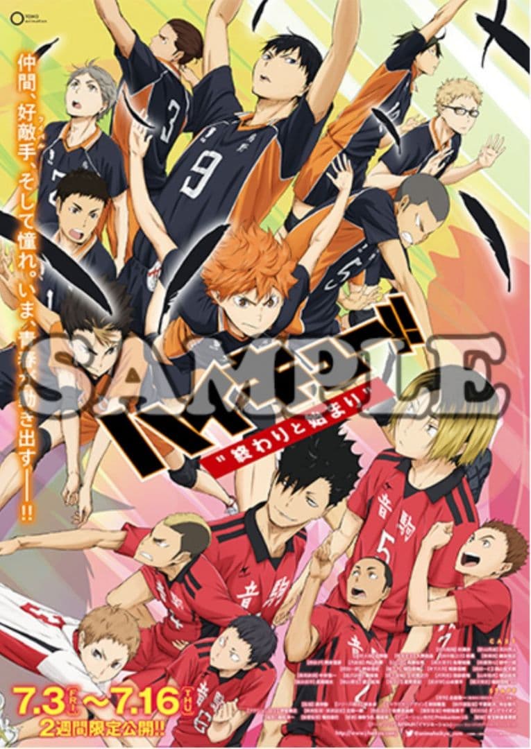 ハイキュー!! B2劇場宣伝ポスター アニメイト特典 激レア 希少 劇場版