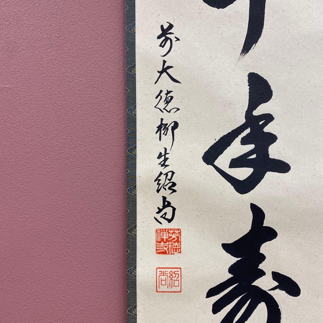 美品 掛け軸 橋本紹尚作「白兎千年寿」前大徳 柳生寺 共箱