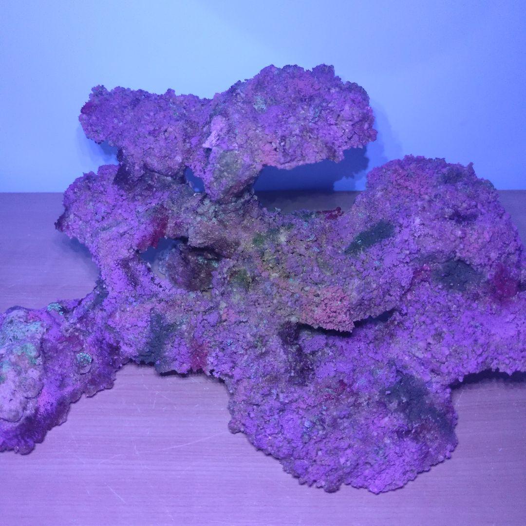 光る新商品】アク抜き不要 人工ライブロック 60cm海水水槽用 レプリカ 蛍光