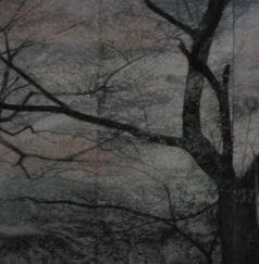 梅原幸雄、【花筏】、希少な額装用画集より、新品額装付