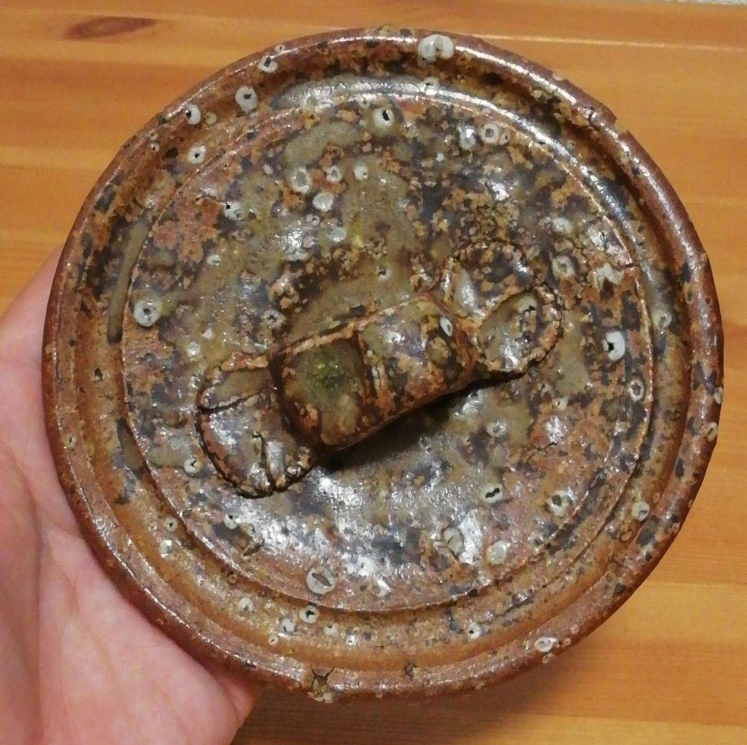 淡々斎書付 祥豊作 信楽焼 水指 共箱 茶道具