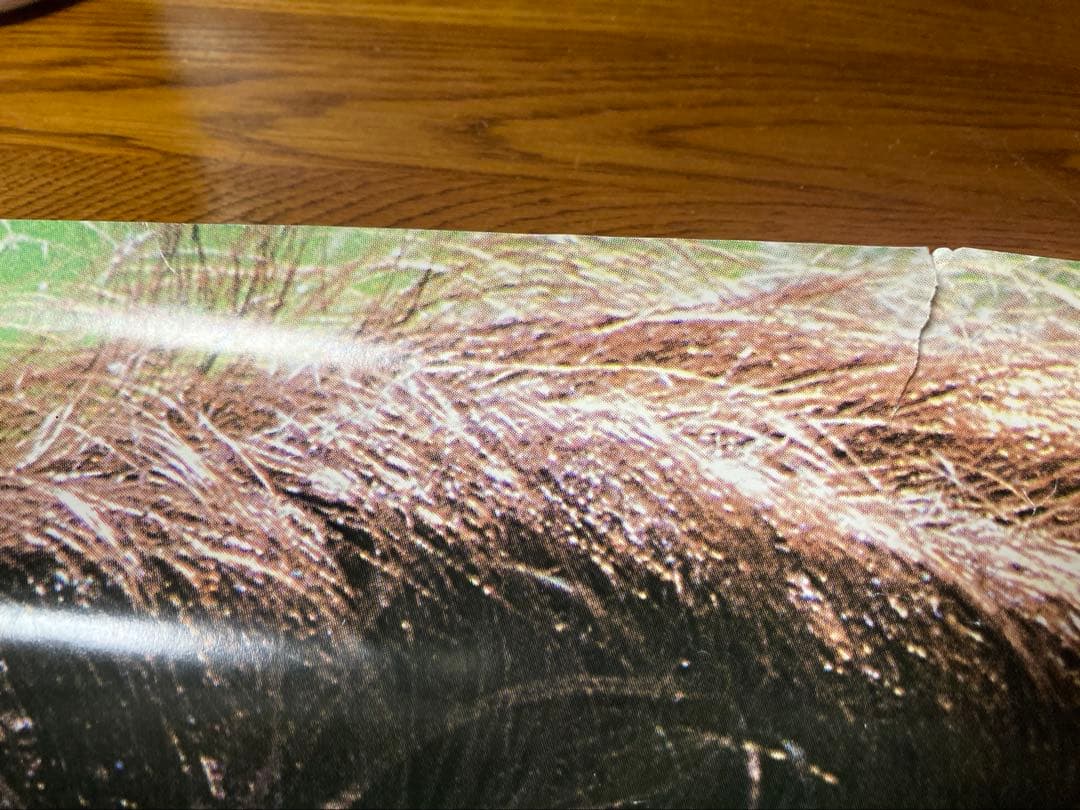 非売品 80年代 ビンテージ 資生堂 サンフレア 夏ダカラ ポスター 美女