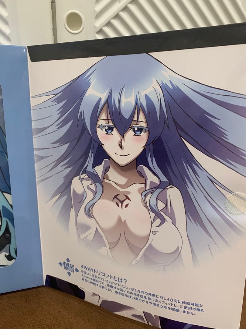 【未使用】 アカメが斬る！ エスデス 抱き枕 カバー 限定イラスト 蓋付き