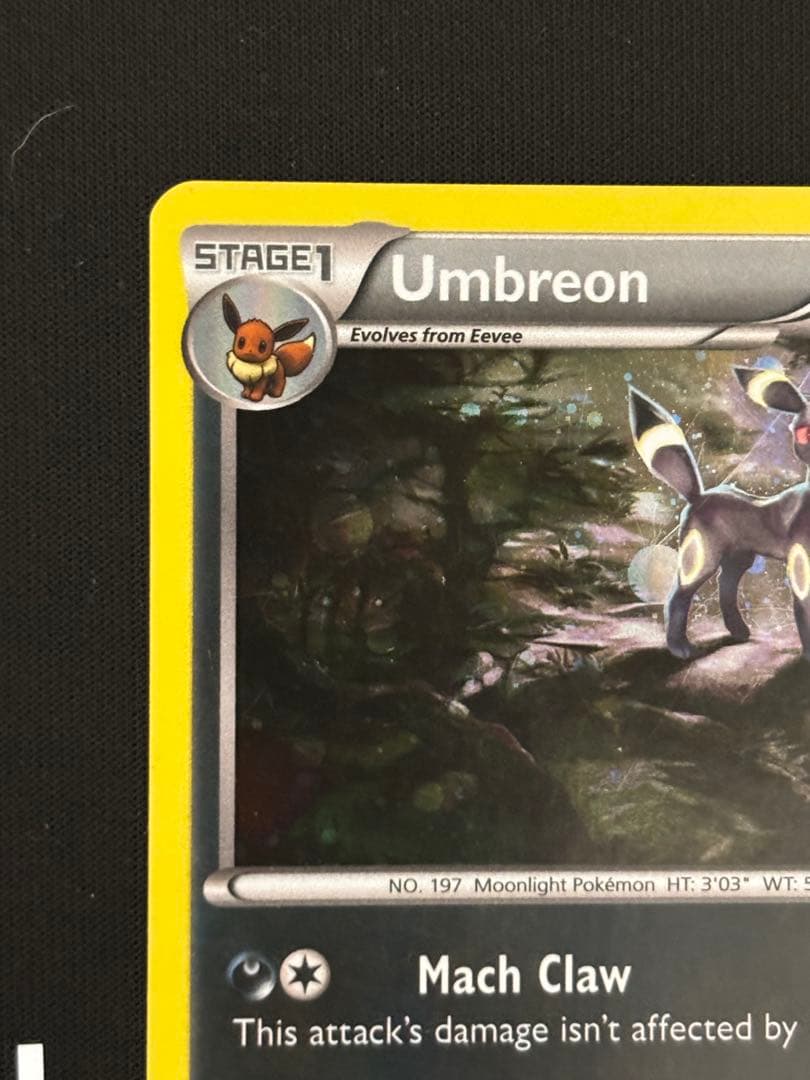 d*4様 ブラッキーナイトバトルプロモ英語版 xy96 正規品Umbreon