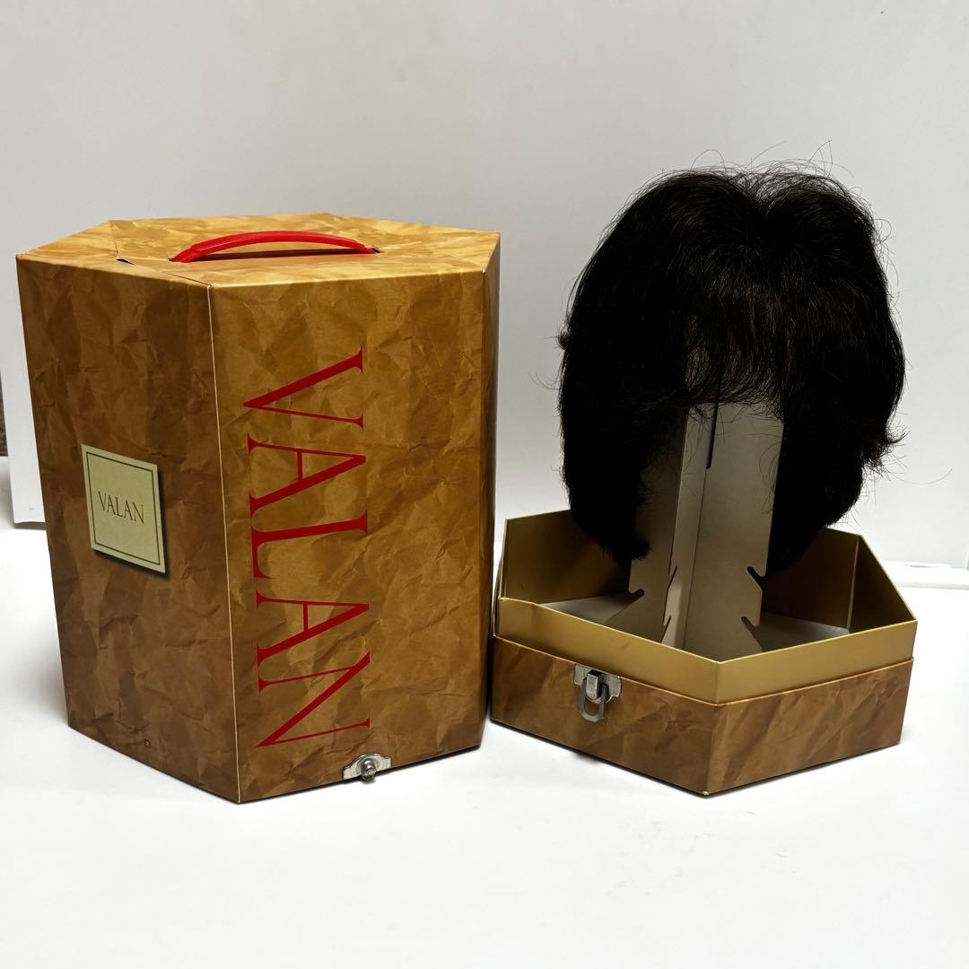 フォンテーヌ　ヴァラン　ナチュラルショートリバース　ウィッグ　VM33 F2B