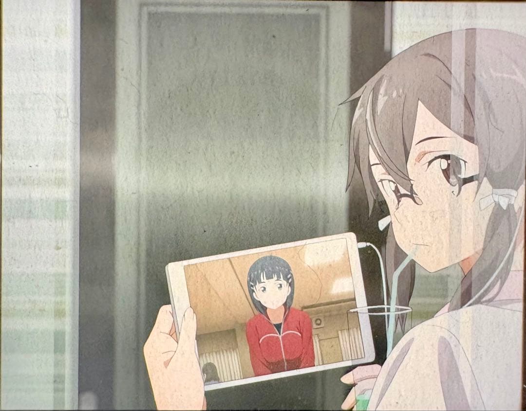 劇場版 ソードアート・オンライン SAO 入場特典 フィルム シノン 朝田詩乃