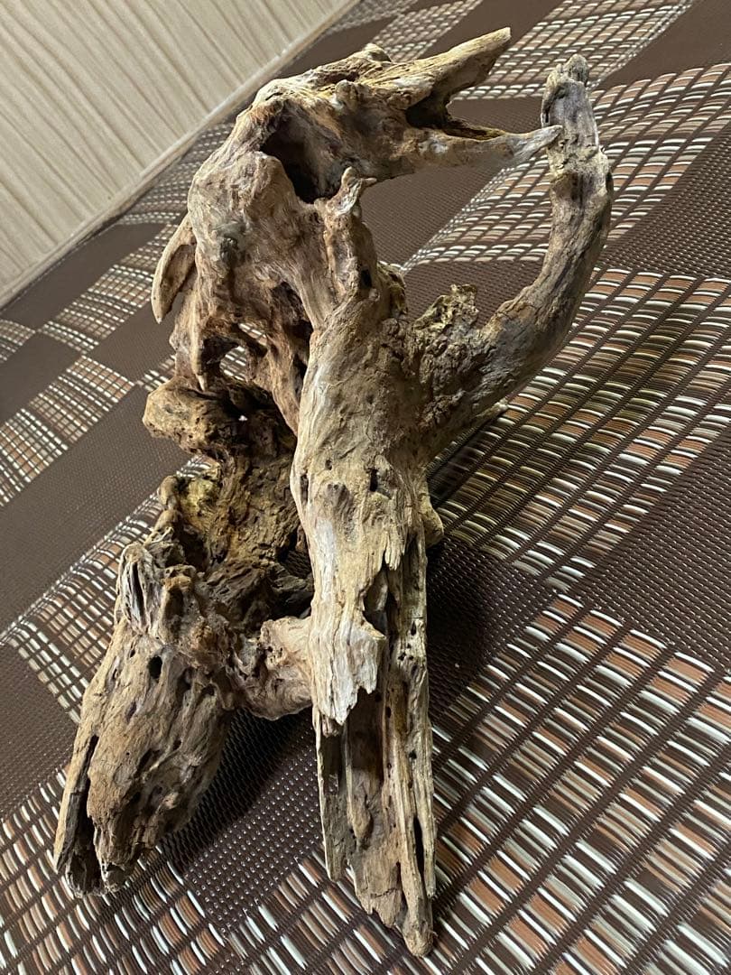 大型流木 44×28×24cm no.96