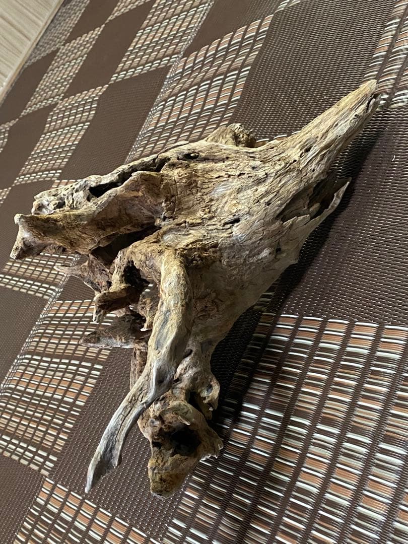 大型流木 44×28×24cm no.96