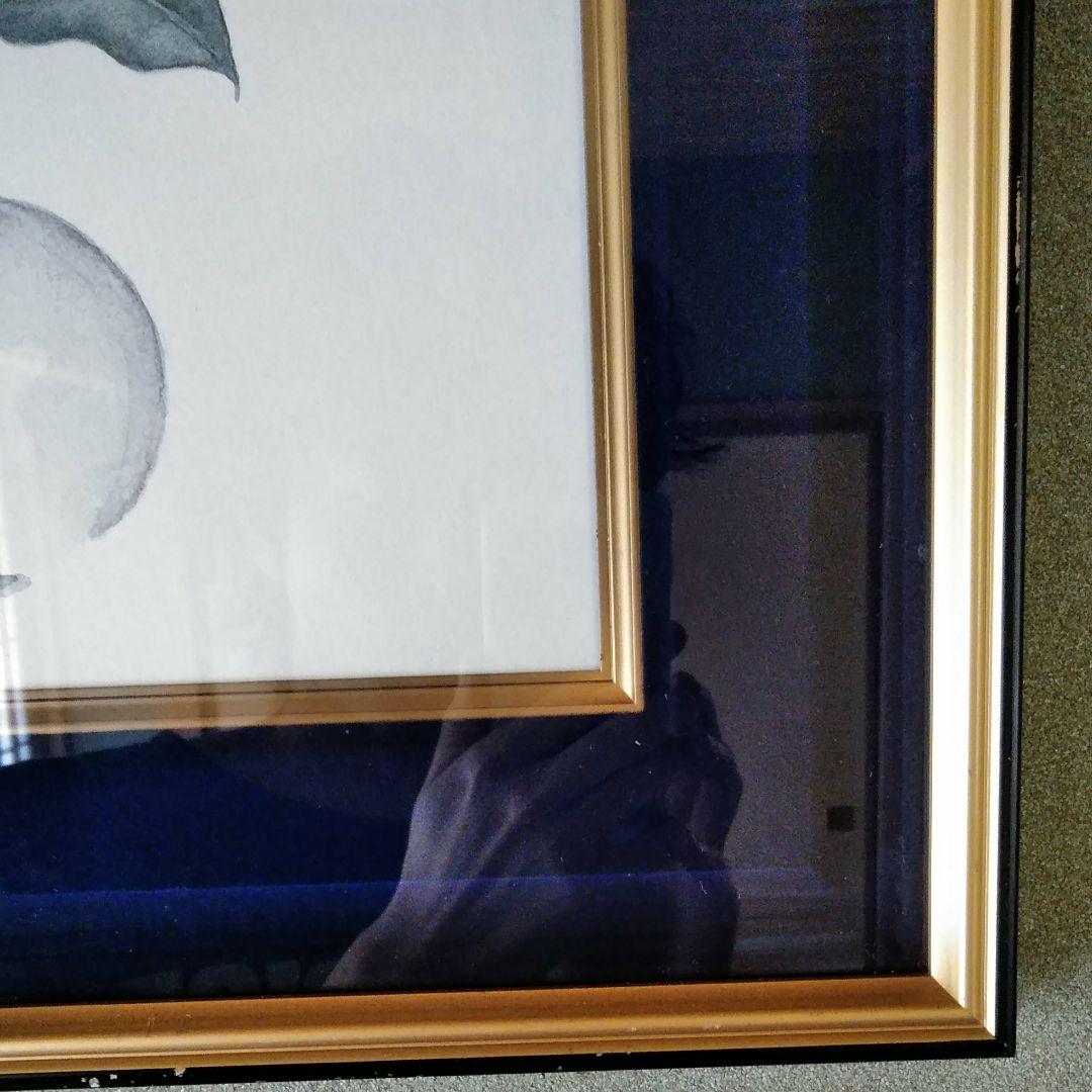 阿波野青畝絵画額縁入り1点