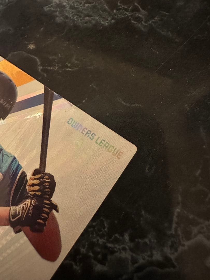 柴*オ様 激レア！大谷翔平　2013オーナーズリーグ　投手野手　2枚セット！