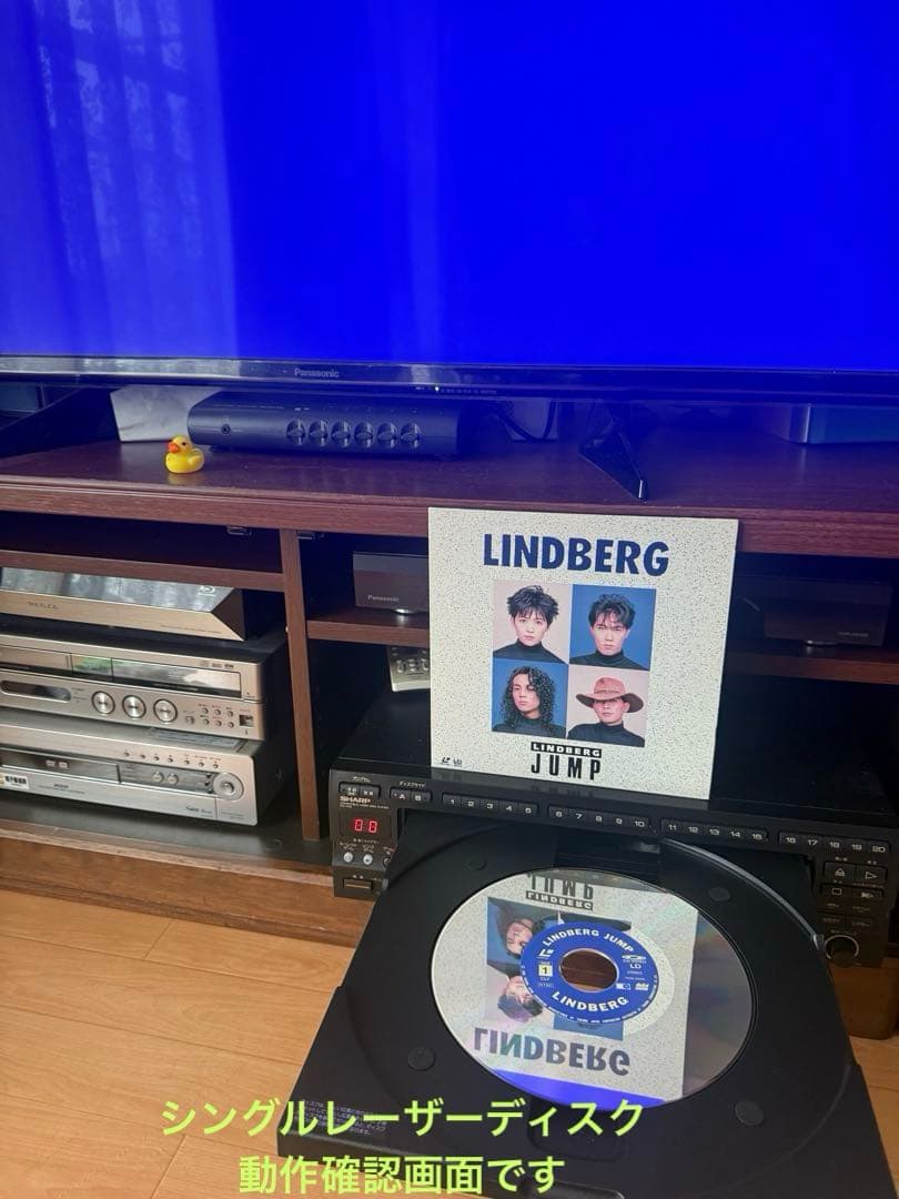 LD/CD動作品】SHARPレーザーカラオケプレーヤー マイク・リモコン付